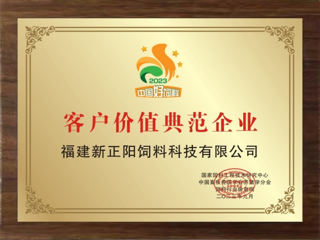 价值典范、创新、标杆、匠心、先锋、龙头企业等（10张）